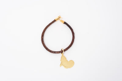 Cordon en Cuir + Pendentif Afrique en Bronze (3 cm)